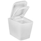 Vaso Sanitário Convencional Lux Griff Inox