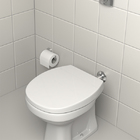 Vaso Sanitário Convencional Ravena Gelo Deca