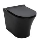 Vaso Sanitário Convencional Tanzanita Pingoo.casa - Preto