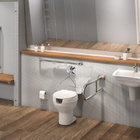 Vaso Sanitário Especial Acesso Plus Branco Celite