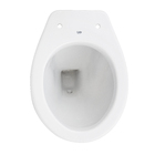 Vaso Sanitário Especial Saída Vertical Acesso sem Aba Frontal Branco Celite