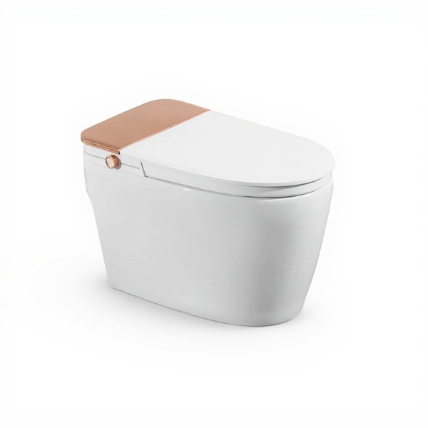 Vaso Sanitário Inteligente Sistema Smart Com Controle Remoto