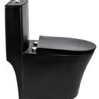 Vaso Sanitário Lisboa Monobloco Completo