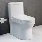 Vaso Sanitário Monobloco Branco Duplo Acionamento 6L Vertical Cianita Pettra