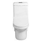 Vaso Sanitário Monobloco Branco Duplo Acionamento 6L Vertical Cianita Pettra