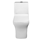 Vaso Sanitário Monobloco Branco Duplo Acionamento 6L Vertical Jaspe Pettra