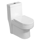 Vaso Sanitário Monobloco Branco Duplo Acionamento 6L Vertical Rubi Advance Pettra