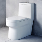 Vaso Sanitário Monobloco Branco Duplo Acionamento 6L Vertical Rubi Advance Pettra