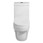 Vaso Sanitário Monobloco Branco Duplo Acionamento 6L Vertical Rubi Advance Pettra