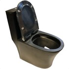 Vaso Sanitário Monobloco  Com Assento Suave - Preto