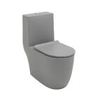 Vaso Sanitário Monobloco Amazonita Pingoo.casa - Cinza