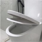 Vaso Sanitário Monobloco Assento Caixa Acoplada Branco