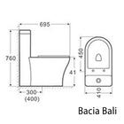 Vaso Sanitário Monobloco Bali Griff Inox