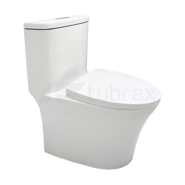 Vaso Sanitário Monobloco Branco Caixa Acoplada Privada Tubrax