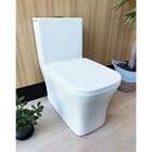 Vaso Sanitário Monobloco Caixa Acoplada Branco Fosco R452 RENO