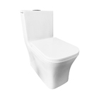 Vaso Sanitário Monobloco Caixa Acoplada Branco Fosco R452 RENO