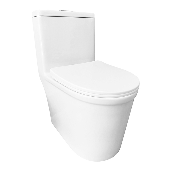 Vaso Sanitário Monobloco Caixa Acoplada Branco R580 RENO | Leroy