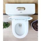 Vaso Sanitário Monobloco Caixa Acoplada Branco R580 RENO