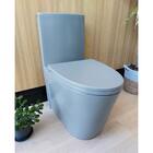 Vaso Sanitário Monobloco Caixa Acoplada Cinza R551 RENO