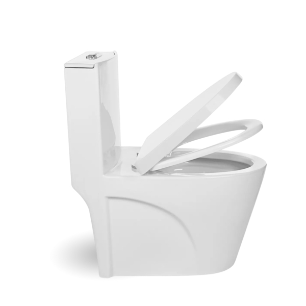 Vaso Sanitário Monobloco Caixa Acoplada Modelo Barcelona- Bra