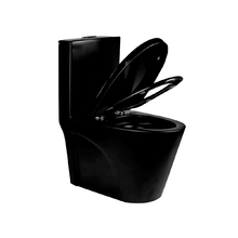 Vaso Sanitário Monobloco Caixa Acoplada Modelo Londres - Preto