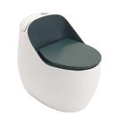 Vaso Sanitário Monobloco Caixa Acoplada Privada Aquarela Ping