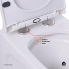 Vaso Sanitário Monobloco Caixa Acoplada Privada Barita Pingoo