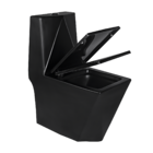 Vaso Sanitário Monobloco Caixa Acoplada Privada Berlim Preto