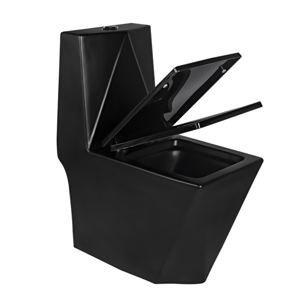 Vaso Sanitário Monobloco Caixa Acoplada Privada Berlim Preto