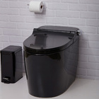 Vaso Sanitário Monobloco Caixa Acoplada Privada Bidê Celestit