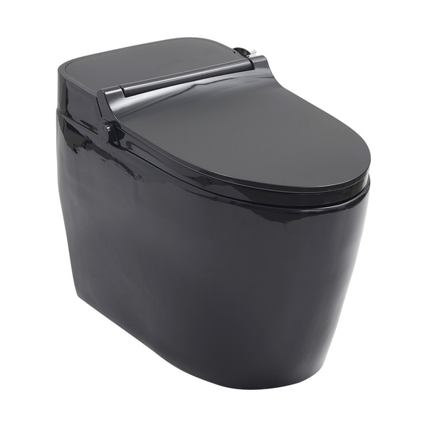 Vaso Sanitário Monobloco Caixa Acoplada Privada Bidê Celestit