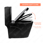 Vaso Sanitário Monobloco Caixa Acoplada Privada Londres Preto