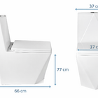 Vaso Sanitário Monobloco Caixa Acoplada Privada Milão