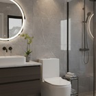 Vaso Sanitário Monobloco Caixa Acoplada Privada Munique