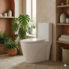 Vaso Sanitário Monobloco Caixa Acoplada Privada Paris Branco