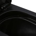 Vaso Sanitário Monobloco Caixa Acoplada Privada Roma Cinza