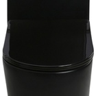 Vaso Sanitário Monobloco Caixa Acoplada Privada Roma Cinza