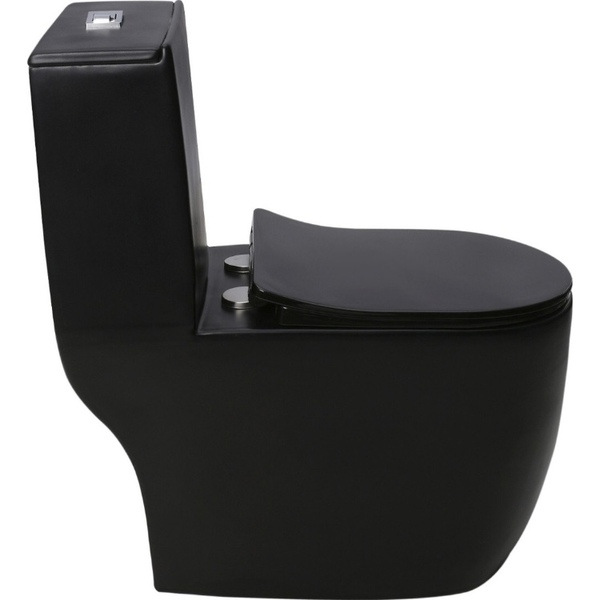 Vaso Sanitário Monobloco Caixa Acoplada Privada Roma Cinza