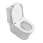 Vaso Sanitário Monobloco com Caixa Acoplada, Anel de Vedação