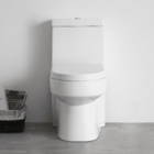 Vaso Sanitário Monobloco Com Caixa Acoplada - Privada - Lms-f