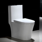 Vaso Sanitário Monobloco Com Caixa Acoplada - Privada - Lms-f