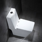 Vaso Sanitário Monobloco Com Caixa Acoplada - Privada - Lms-m