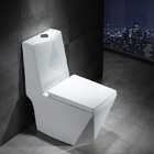 Vaso Sanitário Monobloco Com Caixa Acoplada - Privada - Lms-m