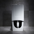 Vaso Sanitário Monobloco Com Caixa Acoplada - Privada - Lms-m