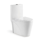 Vaso Sanitário Monobloco Completo Branco - Caixa Acoplada Pri