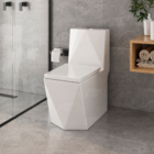 Vaso Sanitário Monobloco Completo - Caixa Acoplada Privada Di