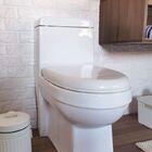 Vaso Sanitário Monobloco Completo - Caixa Acoplada Reno R150