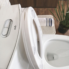 Vaso Sanitário Monobloco Completo - Caixa Acoplada Reno R550