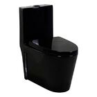 Vaso Sanitário Monobloco Completo Preto - Caixa Acoplada