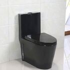 Vaso Sanitário Monobloco Completo Preto - Caixa Acoplada